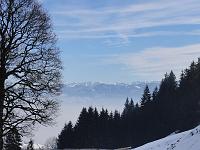  30. Dezember 2010 - ein kleiner Lichtblick auf unserer heutigen Wanderung um die Landmark